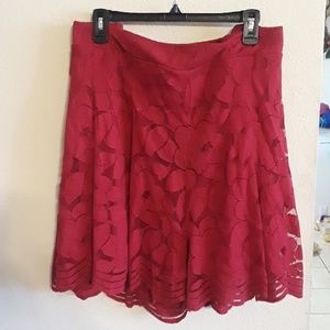 Size 5 Torrid Shorts